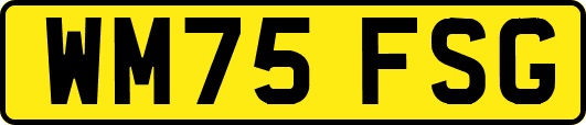 WM75FSG