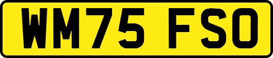 WM75FSO