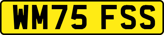 WM75FSS