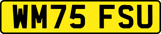 WM75FSU