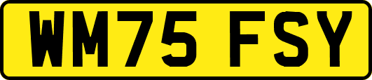 WM75FSY