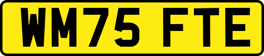 WM75FTE