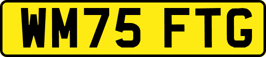 WM75FTG