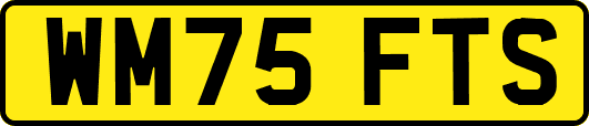 WM75FTS