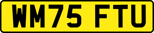 WM75FTU