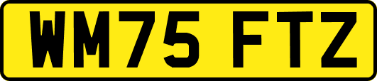 WM75FTZ