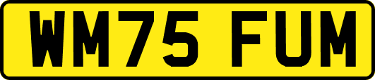 WM75FUM