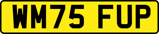 WM75FUP