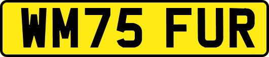 WM75FUR