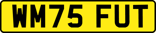 WM75FUT