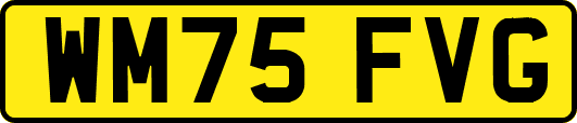 WM75FVG