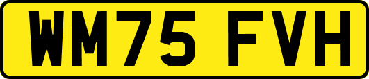 WM75FVH