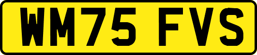 WM75FVS