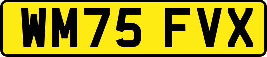 WM75FVX