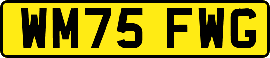 WM75FWG