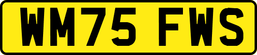 WM75FWS