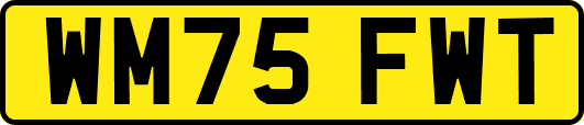 WM75FWT