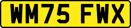 WM75FWX