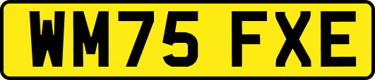 WM75FXE