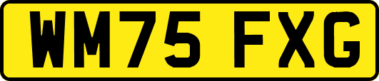 WM75FXG