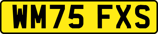 WM75FXS