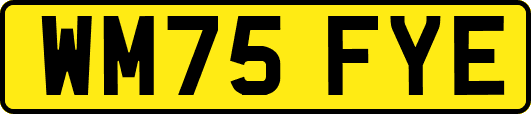 WM75FYE