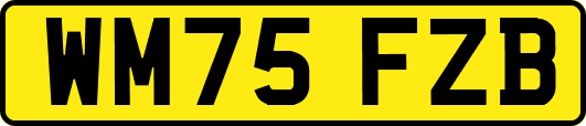 WM75FZB