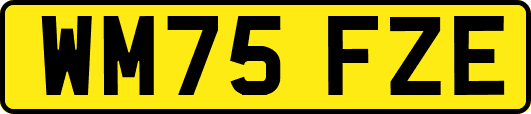 WM75FZE