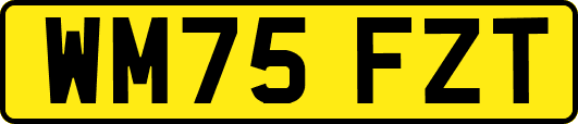 WM75FZT