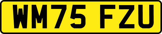 WM75FZU
