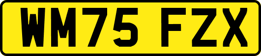 WM75FZX