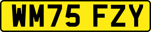 WM75FZY