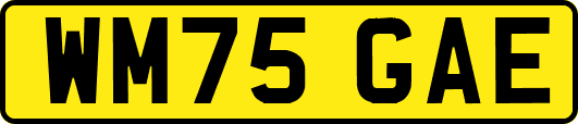 WM75GAE