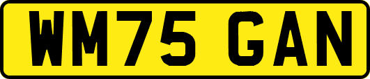 WM75GAN