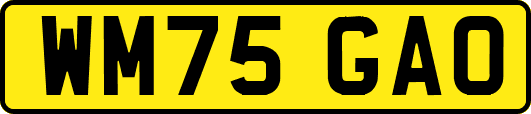WM75GAO