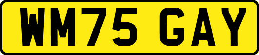 WM75GAY