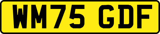 WM75GDF