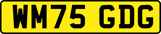 WM75GDG
