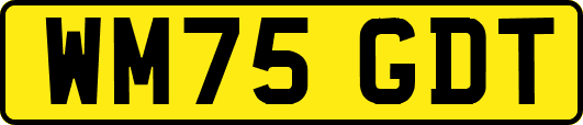 WM75GDT