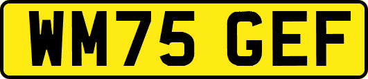 WM75GEF
