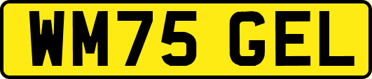WM75GEL