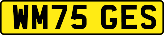 WM75GES