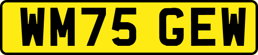 WM75GEW