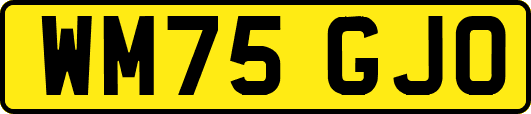 WM75GJO