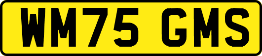 WM75GMS