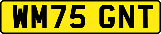 WM75GNT