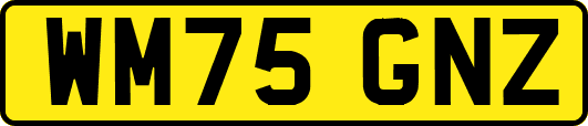 WM75GNZ