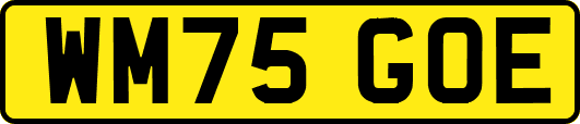 WM75GOE