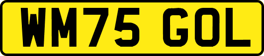 WM75GOL