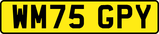 WM75GPY